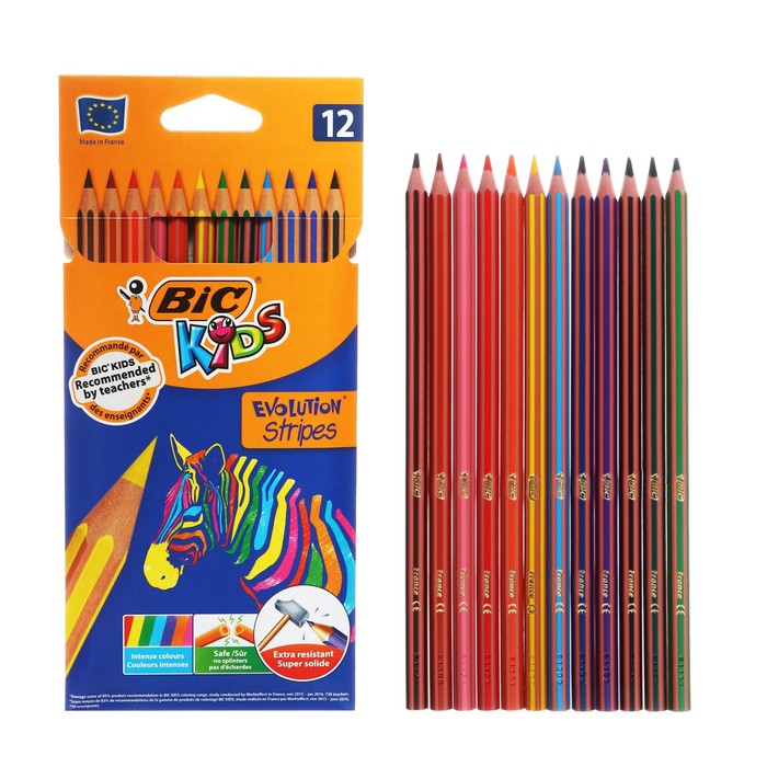 BIC Evolution Stripes - 24 Coloring Pencils for Kids, Students