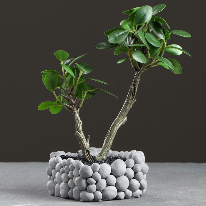 Bonsai tree with Easy-care watering system - Zen stones - Height 25-35cm